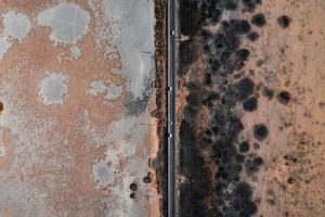 Mold growth on wall in winter