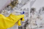 Emergency mold removal Riverside